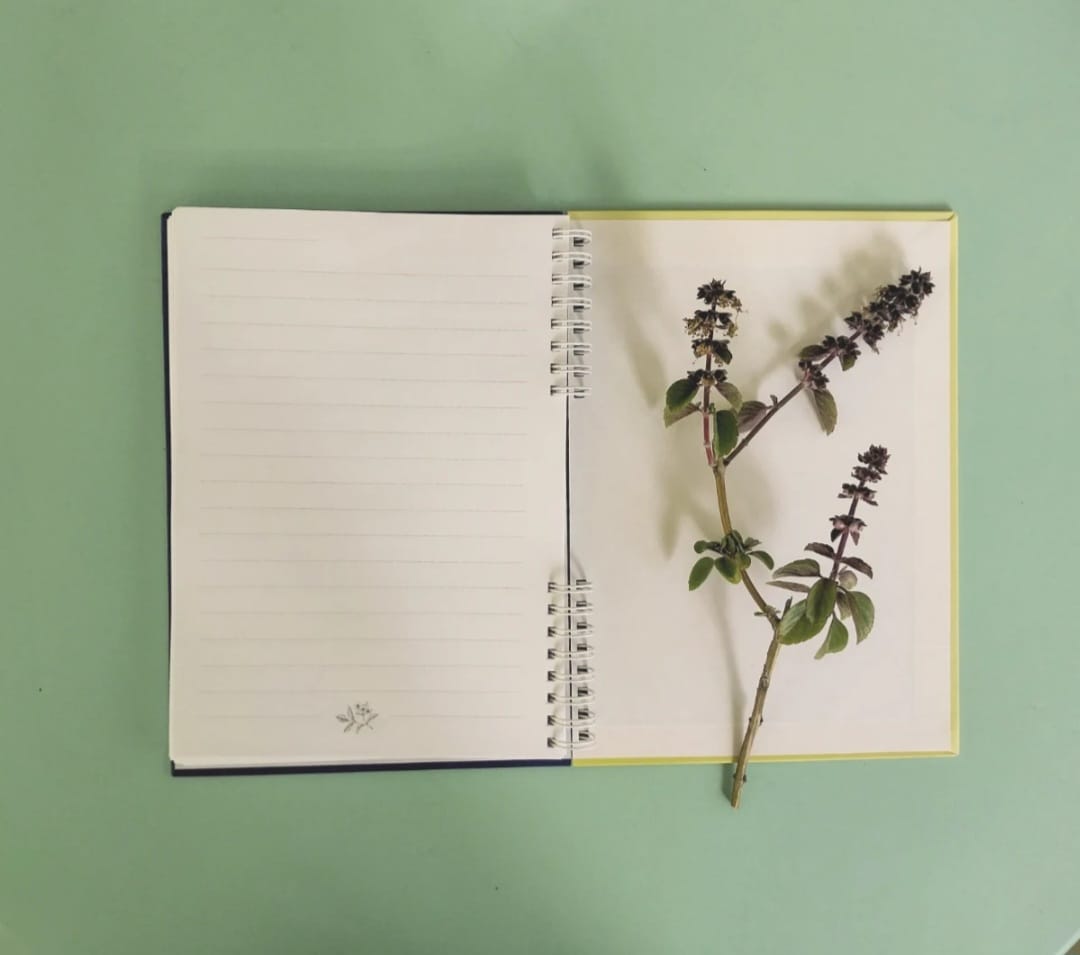 Artisan Notebooks: A Canvas for Your Journey